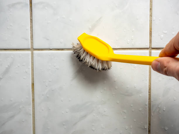 Best Mold Testing and Removal  in Raytown, MO