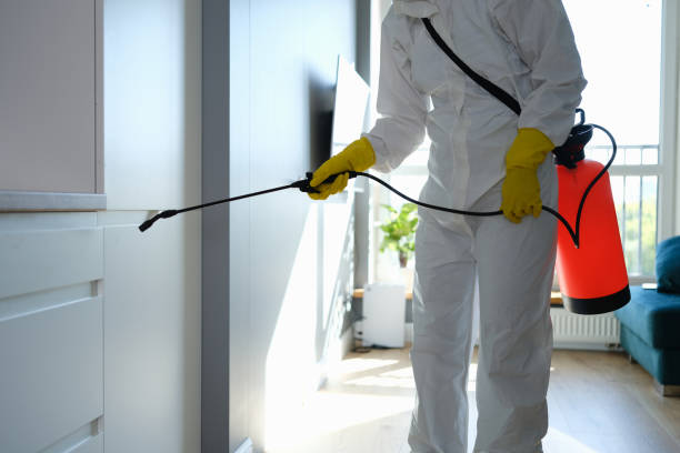 Best Commercial Mold Removal  in Raytown, MO